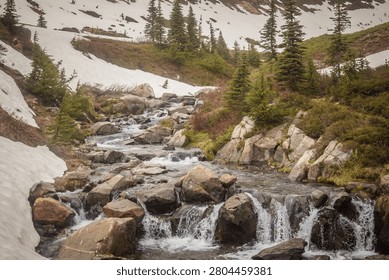 A landscape view of a cascading stream flowing over rocks at Mount Rainier National Park. Seen on the Skyline Trail.
