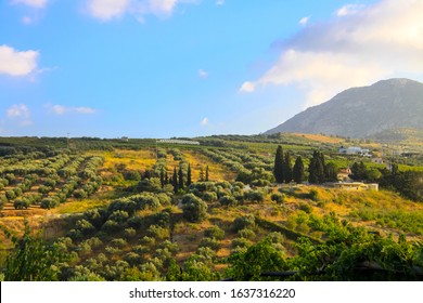  Landscape View Of Crete, Greece. 