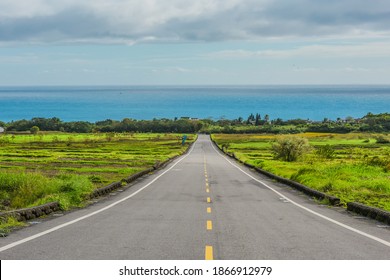 Landscape View Of Diamond Avenue (King Kong Avenue, King Kong Tadao Bike Trails) And Paddy By The Road Next To The Coast Of Pacific Ocean, Taitung, Taiwan