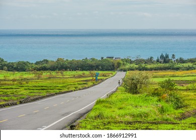 Landscape View Of Diamond Avenue (King Kong Avenue, King Kong Tadao Bike Trails) And Paddy By The Road Next To The Coast Of Pacific Ocean, Taitung, Taiwan