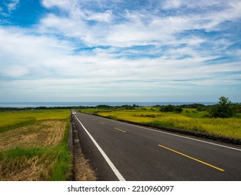 Landscape View Of Diamond Avenue (King Kong Avenue, King Kong Tadao Bike Trails) And Paddy By The Road Next To The Coast Of Pacific Ocean, Taitung, Taiwan