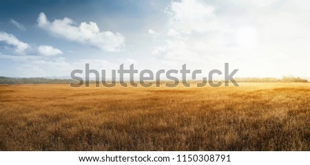 Landscape view of dry savanna with blue sky background