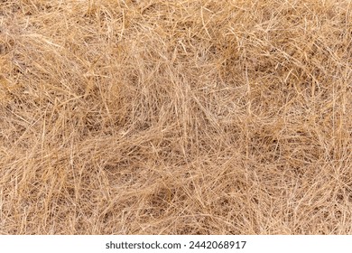 Landscape view of dry savannah. Seamless texture hay, straw. Dry Grass Texture. Climate change concept. Closeup of old aged dry grass straw texture background. Macro of a textured eco natural backdrop - Powered by Shutterstock