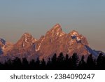 Landscape view during sunset of Middle Teton, Grand Teton and Mount Owen from the Bridger Teton National Forest in Wyoming
