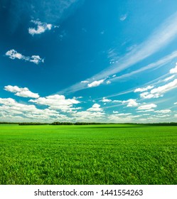 Landscape with a view of the endless green field of grass and deep sky