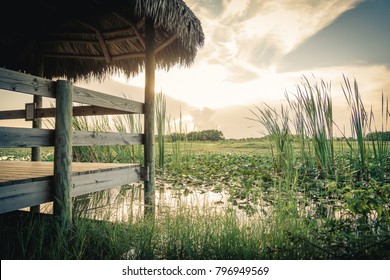 Landscape View In The Everglades National Park, Louisiana, In The Sunrise