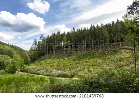 A landscape view of fields and forests  Ardennes, Belgium