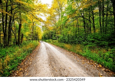 Landscape view of forest in early autumn fall foliage season trees lining dirt road path in Dolly Sods, West Virginia with golden and green leaves