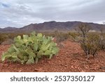 Landscape view in Franklin mountains, El Paso Texas 