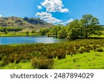 Landscape, View, Grassmere, Lake District National Park, England, Uk.