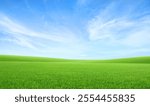 Landscape view of green grass field with blue sky background.