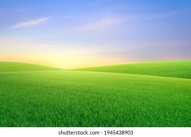 Landscape View Of Green Grass On Slope With Sunrise Sky Background.