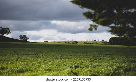 A Landscape View Of The Green Hills Or Regional Victoria, Australia