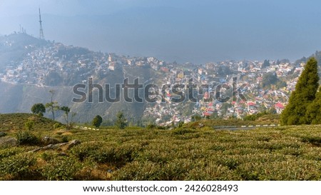 Landscape View of Hill Station Buildings in India with Tea Estate.