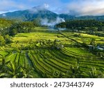 Landscape view of Jatiluwih Rice Terraces in Penebel District, Tabanan Regency, Bali, Indonesia. UNESCO