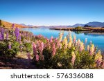 Landscape view of Lake Tekapo, mountains and lupin flowers, Southern Alps, New Zealand