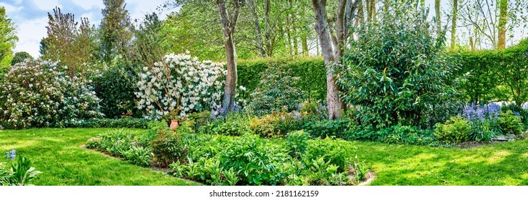 Landscape View Of Landscaped Garden In Serene, Peaceful Private Or Secluded Backyard At Home. Neat, Calm And Freshly Mowed Green Lawn And Grass. Serene, Tranquil Scenic Nature Yard To Relax On Break