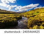 A landscape view in the late afternoon on the Cascade Hut Trail near Dead Horse Gap and Thredo in Kosciuszko National Park, New South Wales, Australia