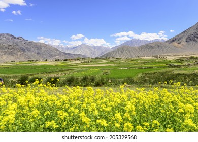 Landscape view of Leh Ladakh, Northern India.  - Shutterstock ID 205329568