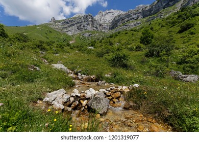 Landscape view of meadow flowers and a stream cascading down the valley nr Col de la Forclaz France