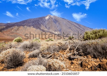 Similar – Image, Stock Photo View of the Pico de Teide in a distance from the Mirador de Abrante on the island La Gomera