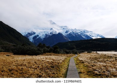 Landscape View Mountain And Wood Road To The Mountain With Brown Filed In Autumn At Aroki Mt.cook