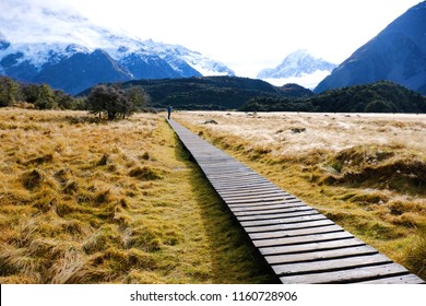 Landscape View Mountain And Wood Road To The Mountain With Brown Filed In Autumn At Aroki Mt.cook