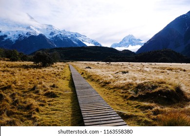 Landscape View Mountain And Wood Road To The Mountain With Brown Filed In Autumn At Aroki Mt.cook