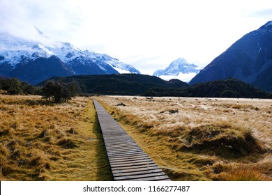 Landscape View Mountain And Wood Road To The Mountain With Brown Filed In Autumn At Aroki Mt.cook