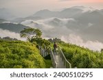 Landscape View Of Mountains And The Sea Of Clouds With Sunset At Eryanping Trail, Alishan National Scenic Area, Xiding, Chiayi,Taiwan