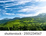 Landscape view of Munnar Kerala