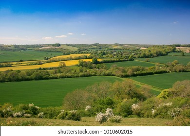 Landscape View Of North Dorset Countryside Near Compton Abbas
