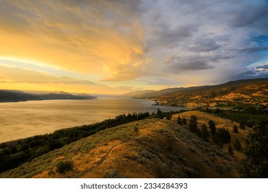 A landscape view of Okanagan Lake and Naramata Bench vineyards at sunset