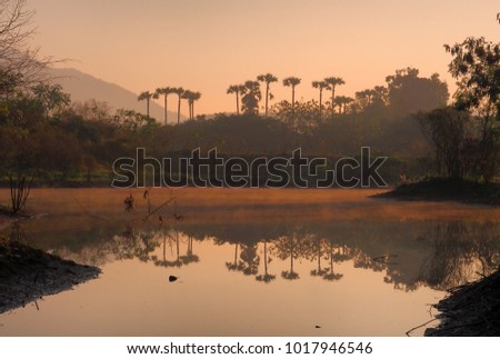 Landscape view of palm trees reflection on     lagoon 