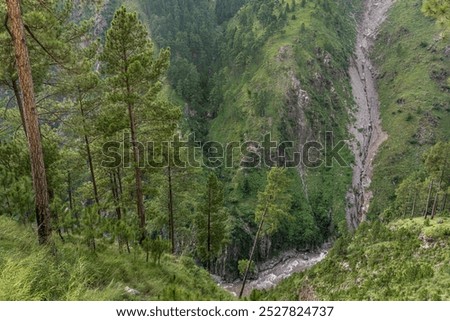 Landscape view of pine trees forest in Kunhar river gorge in scenic Kaghan valley, Balakot, Mansehra, Khyber Pakhtunkhwa, Pakistan