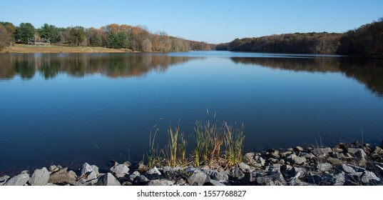 Landscape View Of Reflected Trees In Mirror Surface Of Lake With Reeds And Stones In Foreground On Sunny Day Fall Seneca State Park Maryland United States 