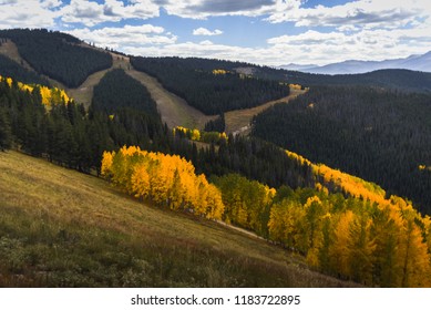 Landscape View Of Ski Runs In Vail, Colorado During Autumn. 