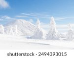 Landscape view of snow covered tree and snow ground on snow mountain with blue sky