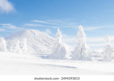 Landscape view of snow covered tree and snow ground on snow mountain with blue sky - Powered by Shutterstock