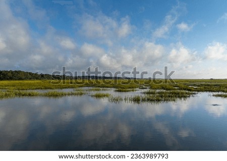 landscape view of tidal beds and marshlands in Pawleys Island in South Carolina