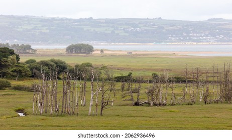 A landscape view towards the River Loughor from Cwm Ivy, The Gower, Wales UK