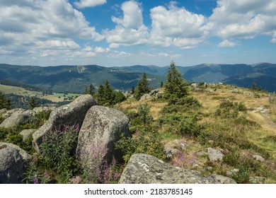 Landscape View In The Vosges Mountains