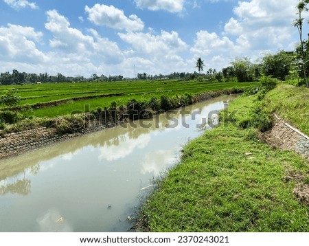 Landscape view of water irrigation river for ricefield, somewhere in Glenmore, Banyuwangi Regency, East Java Indonesia