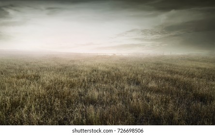 444,315 Dark Grass Images, Stock Photos & Vectors | Shutterstock