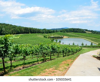 Landscape Of The Vineyards Of North Georgia Usa Wine Country