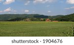 Landscape vith corn fields