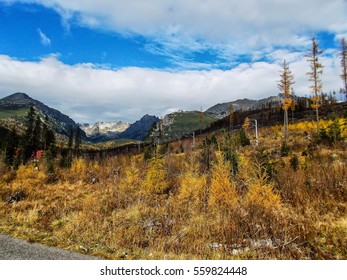 Landscape Vysoke Tatry In Autumn