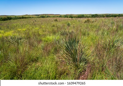 The Landscape Of Washita Battlefield National Historic Site