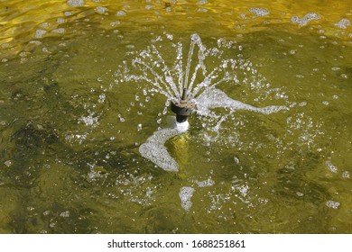 Landscape Of A Water Fountain Inside A Koi Pond