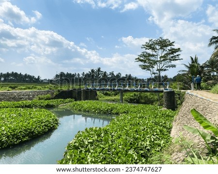 Landscape of water irrigation river for agricultural needs and little bridge in Glenmore, Banyuwangi Regency East Java, Indonesia